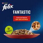 Felix Fantastic Carne en Gelatina sobre  - Multipack, , large image number null